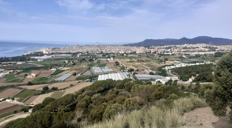 imatge de l'acte